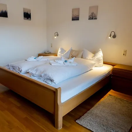 Viola 1 Og